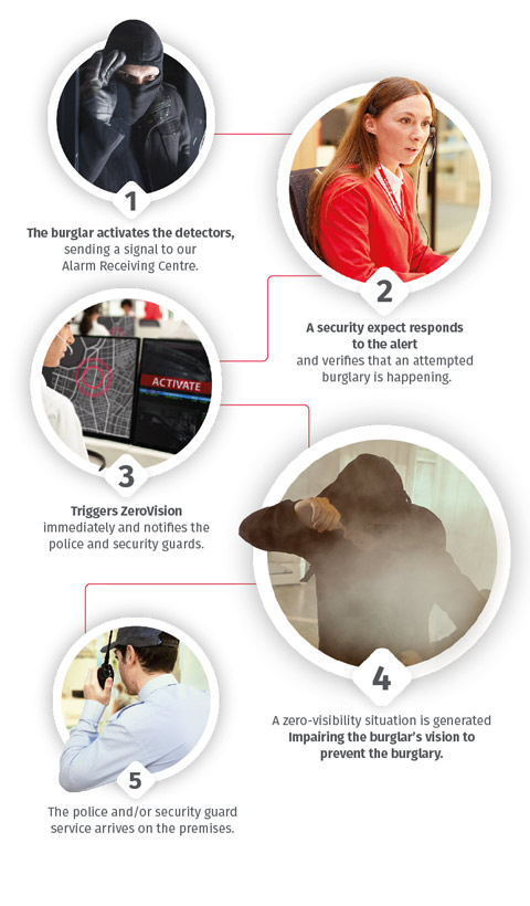 Alarma con Humo Antirrobo - protocolo