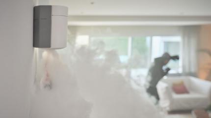 The Top Burglar Deterrent According to Professional Burglars