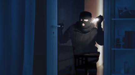 The Link Between Daylight Hours and Burglary Rates